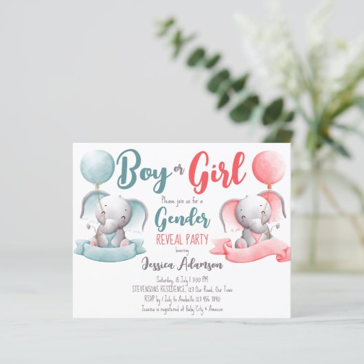 Jongen- of meisjesolifantengender onthullen budget (Staand voorkant)