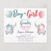 Jongen- of meisjesolifantengender onthullen budget (Voorkant)