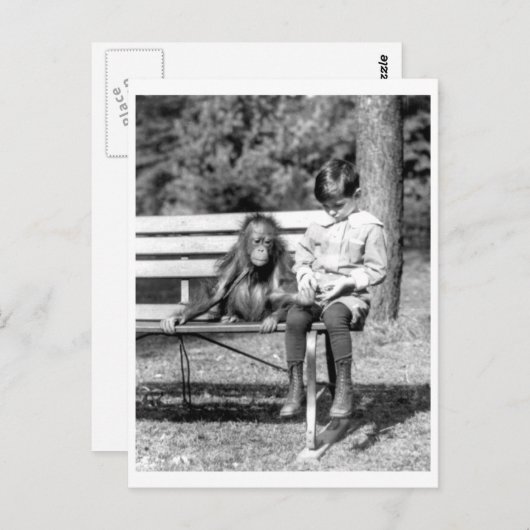 Jongen & Orangutan Nationaal Zoo Washington Briefkaart (Voorkant / Achterkant)