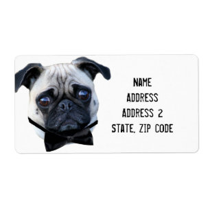 Jongen Pug-verzendlabels Etiket