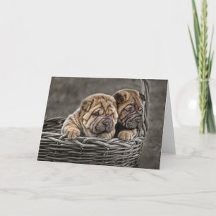 Jongen shar-Pei in het Wenskaart van de Mand Kaart