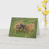 Jongen shar-Pei met het Wenskaart van de Stok Kaart (Gele Bloem)