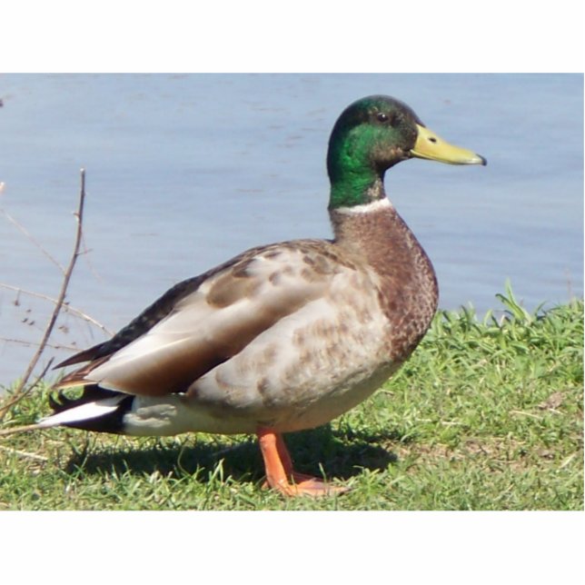  jongen staand fotobeeldje  (Voorkant)