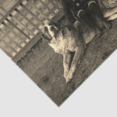 Jongen uit de 1890 die op de foto van Bernard Dog  Tissuepapier (Detail)