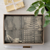 Jongen uit de 1890 die op de foto van Bernard Dog  Tissuepapier (Geschenk)