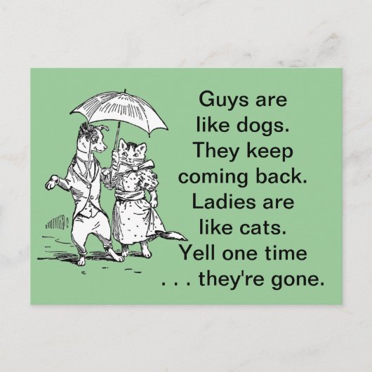 Jongens als honden - katten als Humor voor dames Briefkaart (Voorkant)