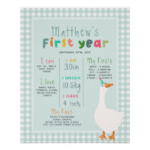 Jongens Blue Goose eerste jaar verjaardag mijlpaal Perfect Poster (Voorkant)