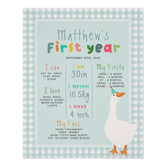 Jongens Blue Goose eerste jaar verjaardag mijlpaal Perfect Poster (Voorkant)