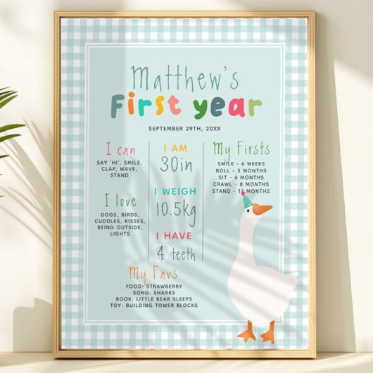 Jongens Blue Goose eerste jaar verjaardag mijlpaal Perfect Poster