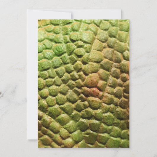 Jongens Dinosaur 9e Verjaardag Party Uitnodiging (Achterkant)