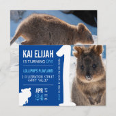 Jongens Eerste Verjaardag Blue Quokka Australië Fo Kaart (Voorkant / Achterkant)