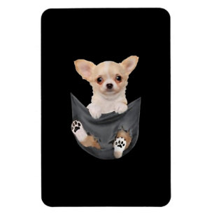 Jongens Funny Chihuahua in uw zakdoekjes Magneet