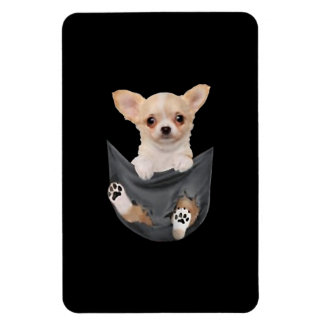 Jongens Funny Chihuahua in uw zakdoekjes Magneet