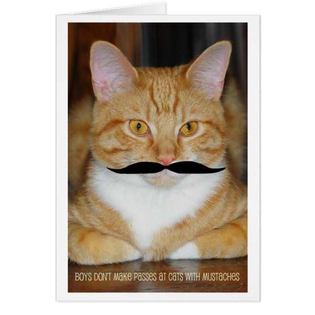 Jongens maken geen pasjes bij katten met snor (Voorkant)