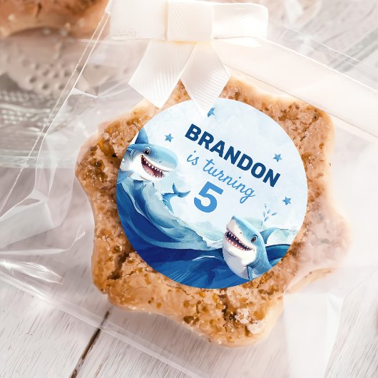 Jongens onder het Zee Ocean Shark 5th Birthday Ronde Sticker