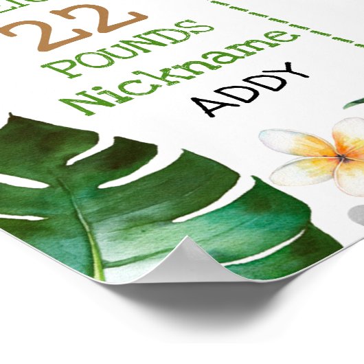 Jongens Safari Dieren 1e Verjaardag Milestone Poster (Hoek)