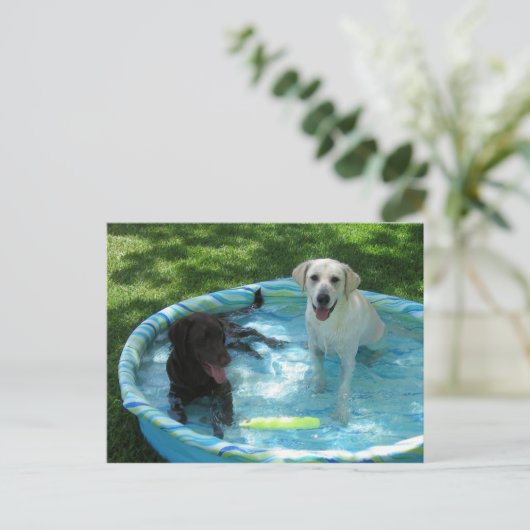 Jongens van het briefkaart van de zomer (Staand voorkant)