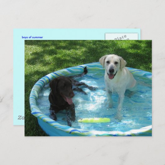 Jongens van het briefkaart van de zomer (Voorkant / Achterkant)