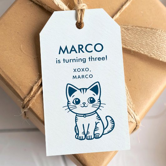 Jongen's Verjaardag met CUSTOM KLEUREN kleine kat Cadeaulabel