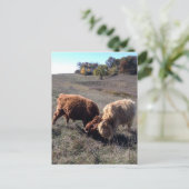 Jongens zijn jongens... briefkaart (Staand voorkant)