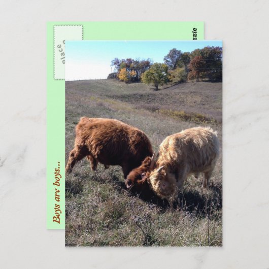 Jongens zijn jongens... briefkaart (Voorkant / Achterkant)