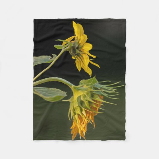 Jongeren en Leeftijd Zonnebloem Fleece Deken (Voorkant)