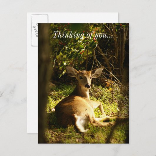 Jongeren in de weide denken aan jou briefkaart (Voorkant / Achterkant)