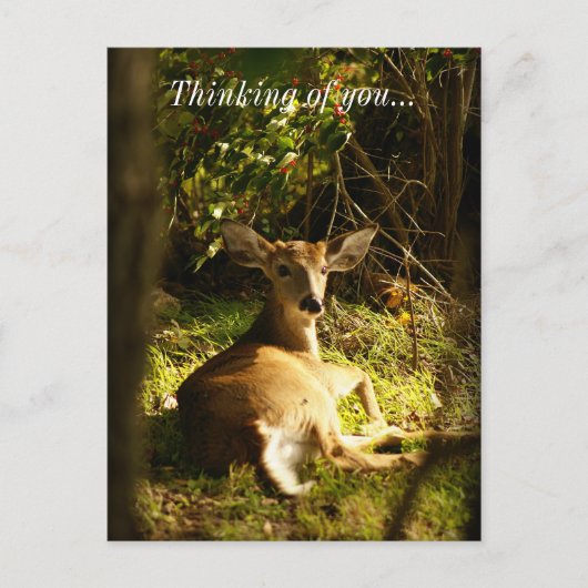 Jongeren in de weide denken aan jou briefkaart (Voorkant)