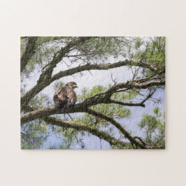 Jongeren palinghaai in een pijnboom legpuzzel