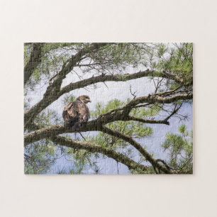 Jongeren palinghaai in een pijnboom legpuzzel