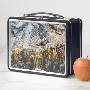 Jongeren pit op de rots