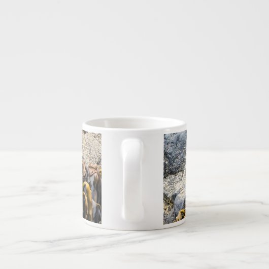 Jongeren pit op de rots espresso kop (Achterkant)