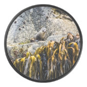 Jongeren pit op de rots hockey puck (Voorkant)