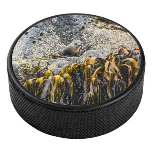 Jongeren pit op de rots hockey puck