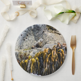 Jongeren pit op de rots papieren bordje