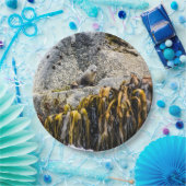 Jongeren pit op de rots papieren bordje (Feest)