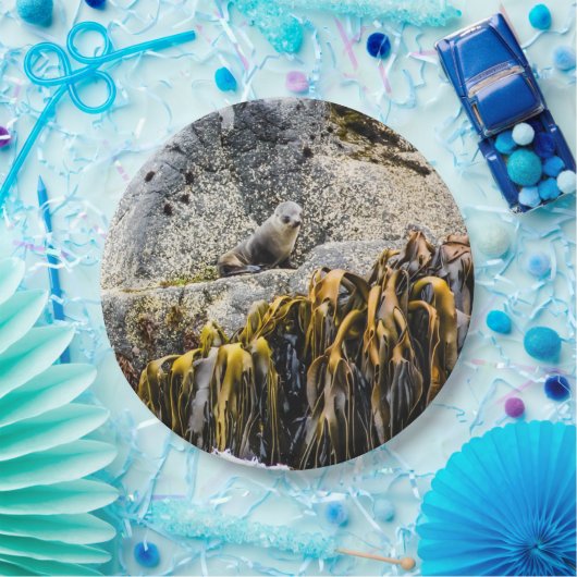 Jongeren pit op de rots papieren bordje (Feest)