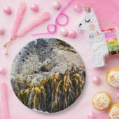 Jongeren pit op de rots papieren bordje (Feest)