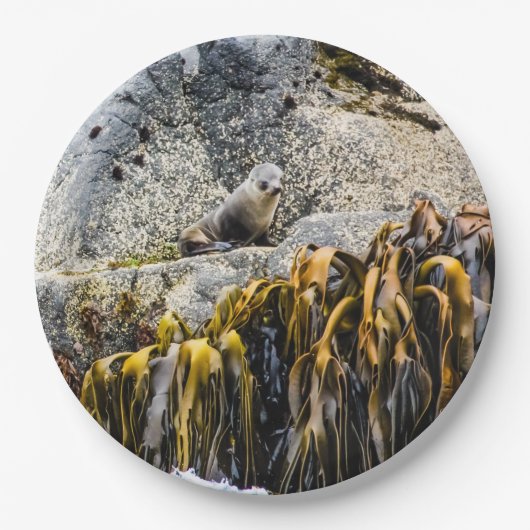 Jongeren pit op de rots papieren bordje (Voorkant)