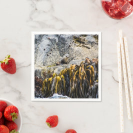 Jongeren pit op de rots servet