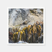 Jongeren pit op de rots servet (Voorkant)