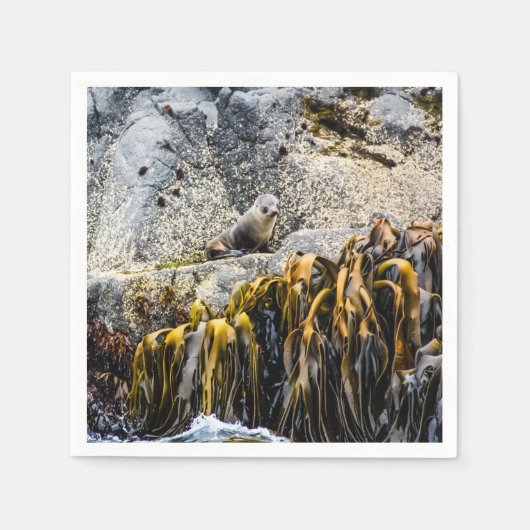 Jongeren pit op de rots servet (Voorkant)