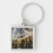 Jongeren pit op de rots sleutelhanger (Voorkant)