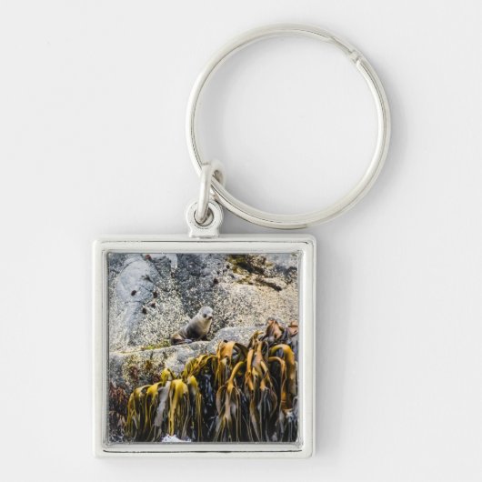 Jongeren pit op de rots sleutelhanger (Voorkant)