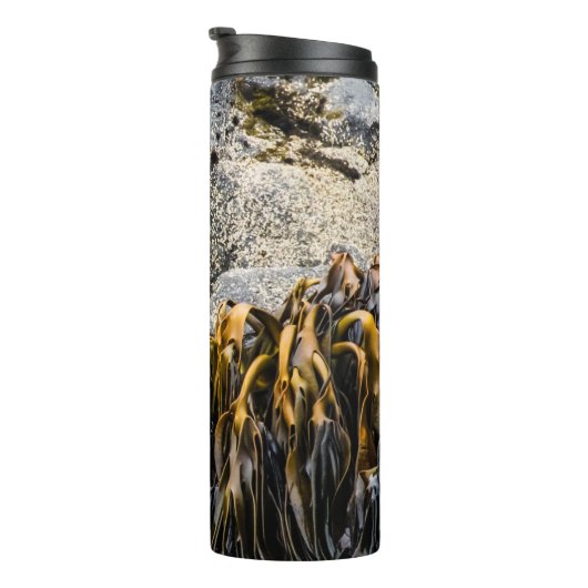 Jongeren pit op de rots thermosbeker (Geroteerd rechts)