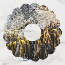 Jongeren pit op de rots