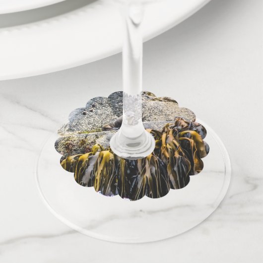 Jongeren pit op de rots wijnglaslabel (Dichtbij)