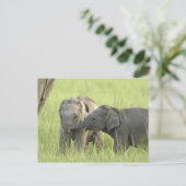 Jongeren van Indische/Aziatische olifant Briefkaart (Staand voorkant)