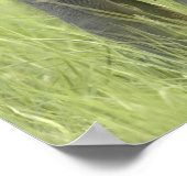 Jongeren van Indische/Aziatische olifant Poster (Hoek)