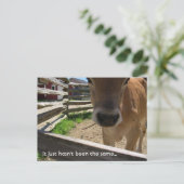 Jongerengroepsuitnodiging Uitnodiging Briefkaart (Staand voorkant)